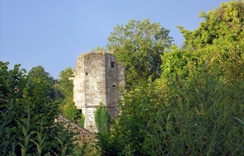 Chateau De La Chasse-Guerre Bed and Breakfast Hardanges Exterior foto
