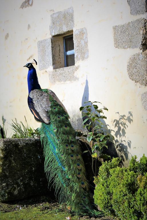 Chateau De La Chasse-Guerre Bed and Breakfast Hardanges Exterior foto