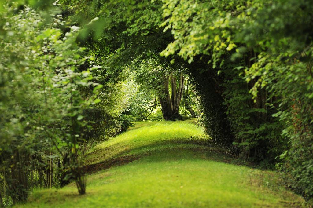 Chateau De La Chasse-Guerre Bed and Breakfast Hardanges Exterior foto